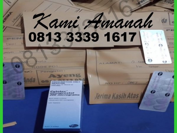 Memahami Penggunaan Obat Penggugur Kandungan dalam Dunia Medis