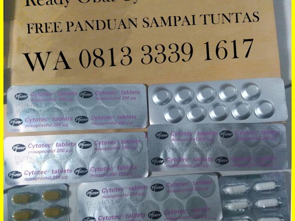 Wa 0813/3339/1617 Memahami Jenis-Jenis Obat Aborsi Di Sukabumi: Fakta Medis Dan Legalitas